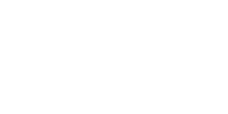 Bienestar Organizacional